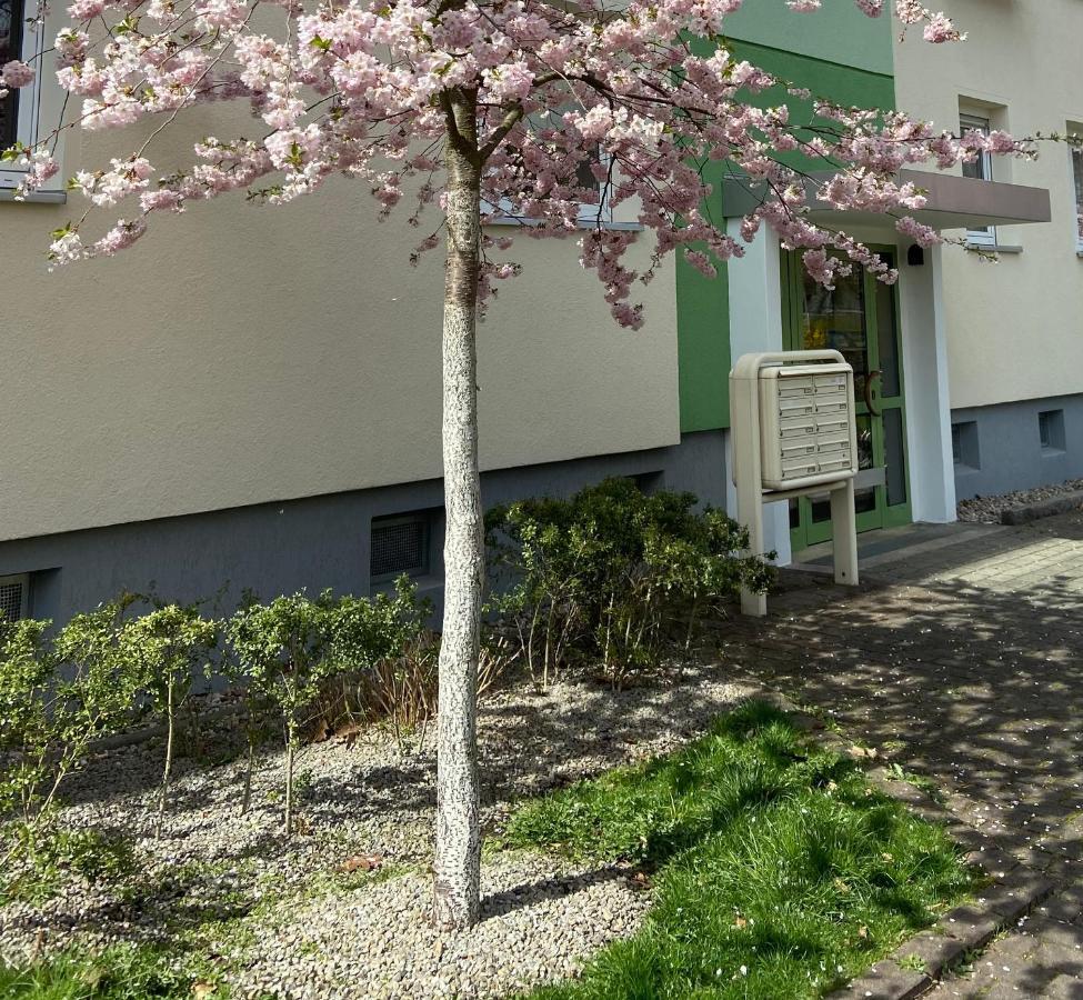 Schoene Kleine Wohnung Cottbus Buitenkant foto